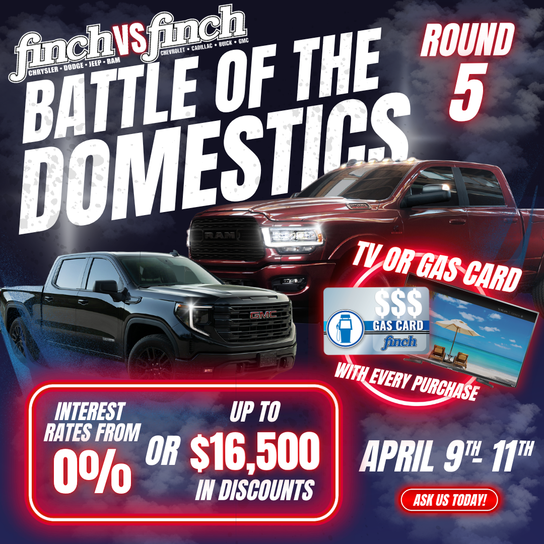 battle of the domestics