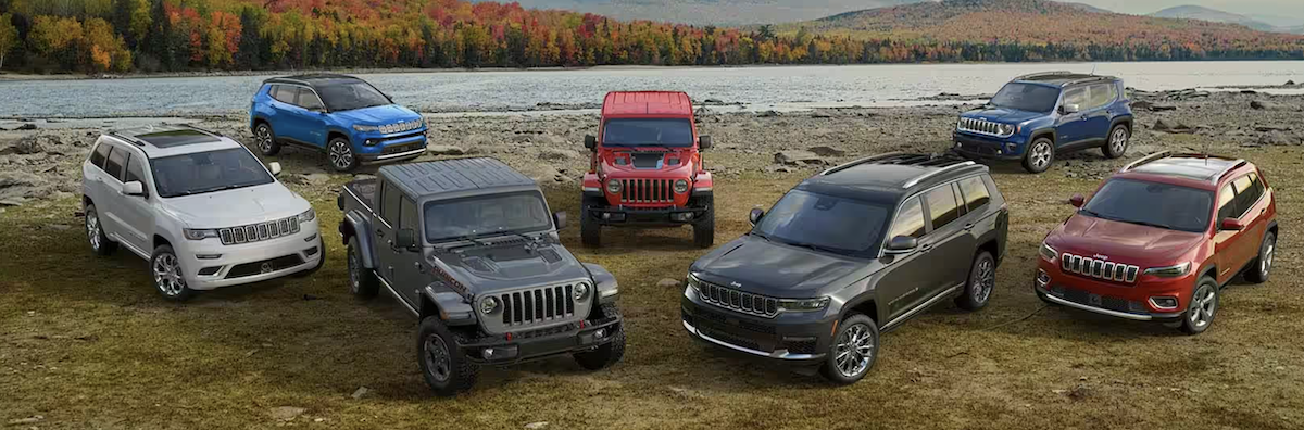 Multiple Jeep models with nature in the background